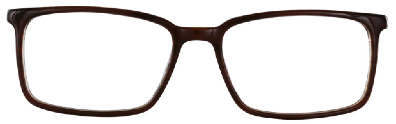 Stetson S345 Eyeglasses - view 7